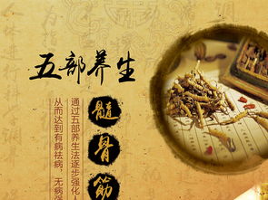 融合中醫(yī)養(yǎng)生文化，打造專業(yè)展板設(shè)計——高清PSD模板助力企業(yè)健康服務推廣